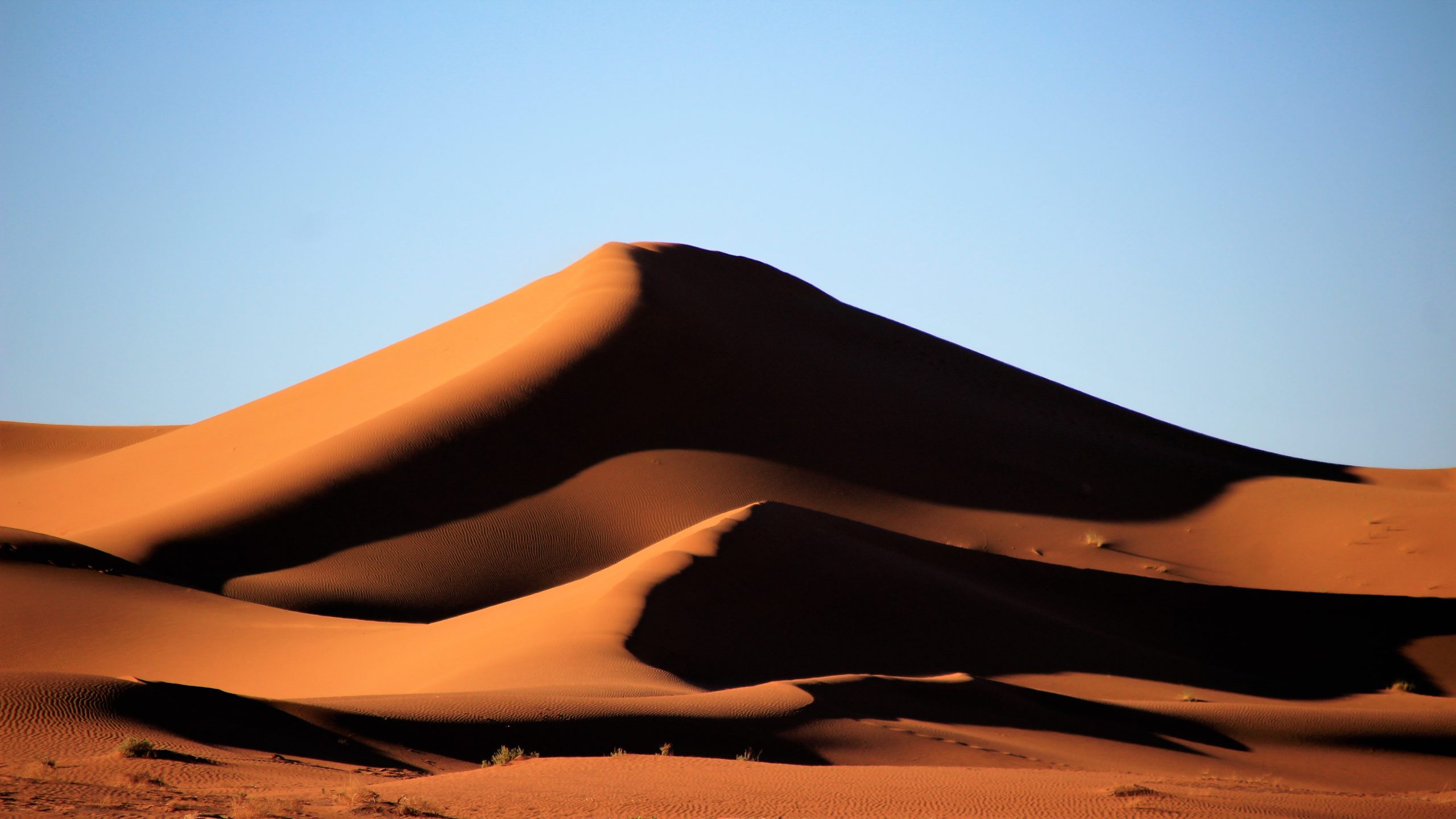 Sahara marocain, hiver 2018-19